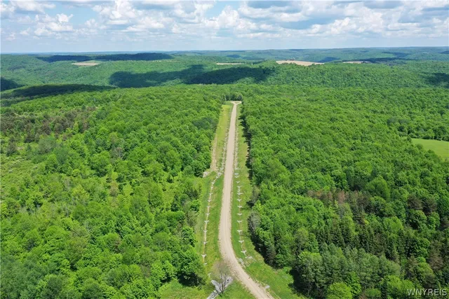 $59,900 | 1 Trail Heights, Ellicottville, NY 14731