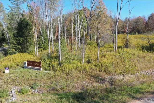 $59,900 | 1 Trail Heights, Ellicottville, NY 14731