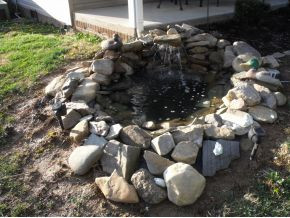 925 Cedar Grove Road Johnson City, TN 37601 - Photo 3 of 24 Landscape pond
