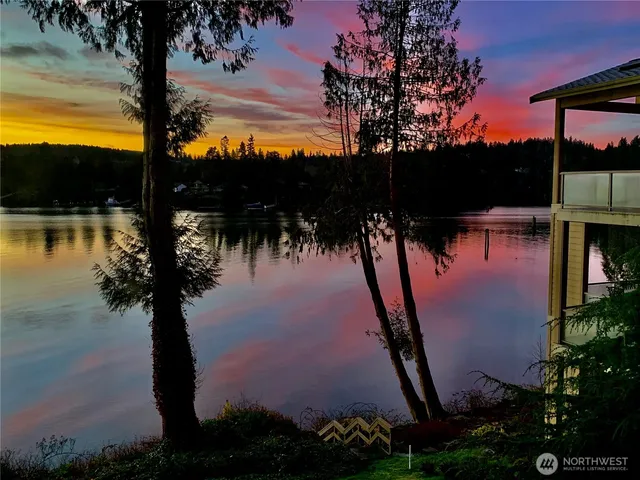 a picture of water with lots of palm trees