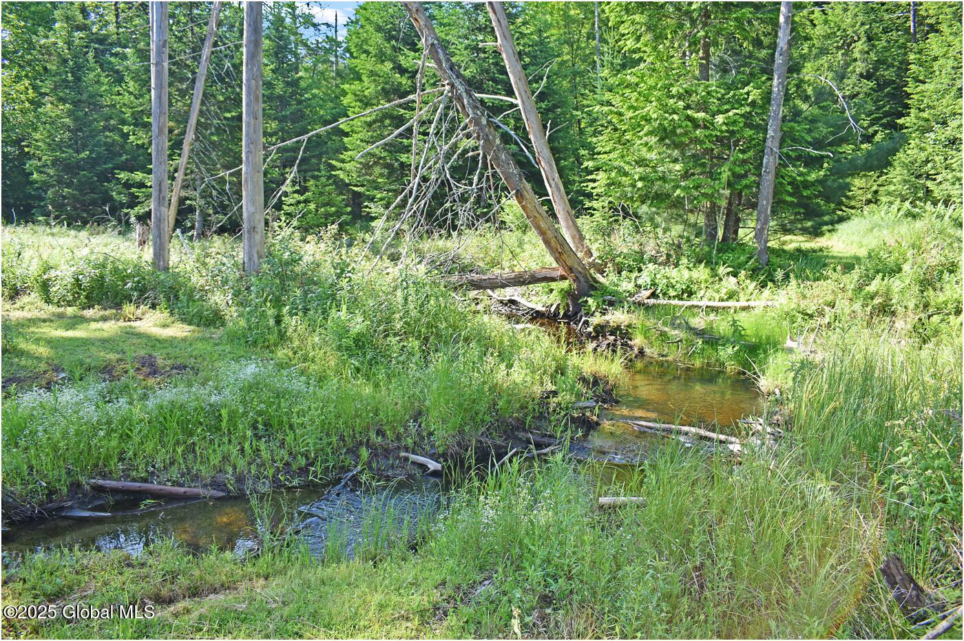 34 Igerna Road Chester, NY 12853 - Photo 44 of 70 m18