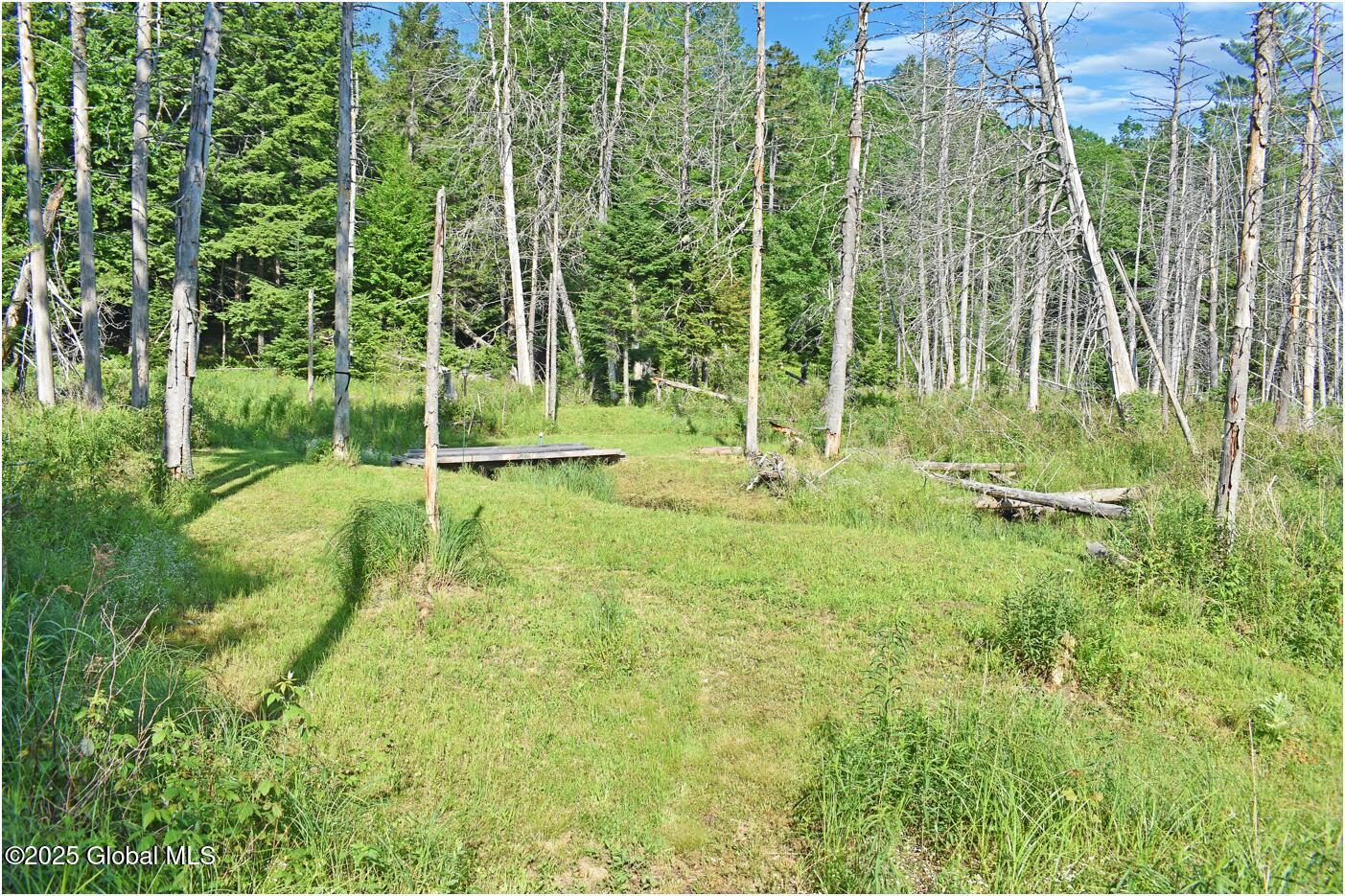 34 Igerna Road Chester, NY 12853 - Photo 48 of 70 m1