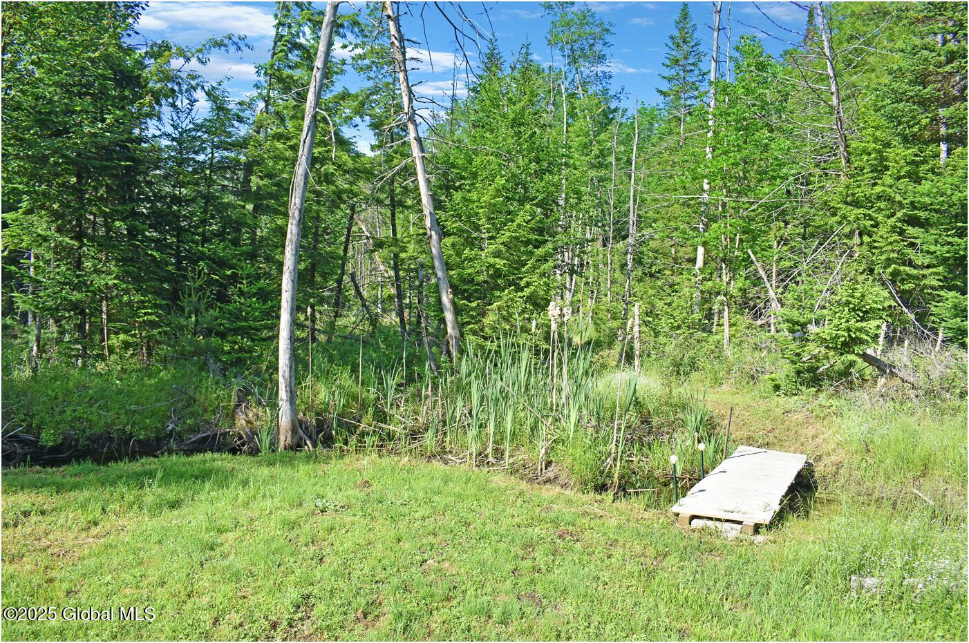 34 Igerna Road Chester, NY 12853 - Photo 49 of 70 m4