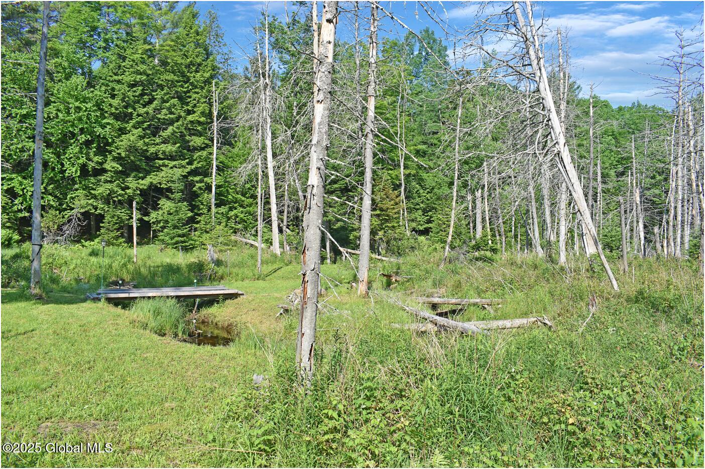 34 Igerna Road Chester, NY 12853 - Photo 50 of 70 m5