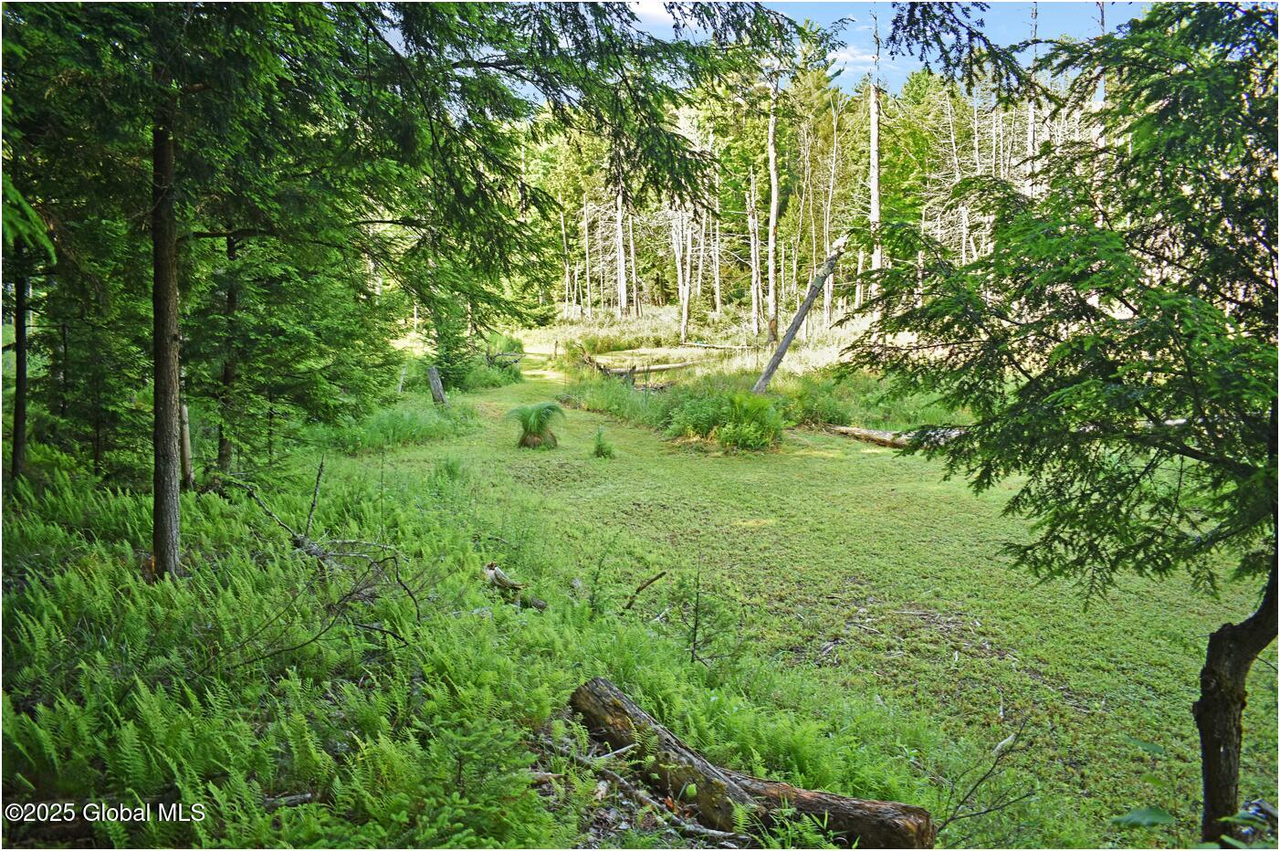 34 Igerna Road Chester, NY 12853 - Photo 53 of 70 m15