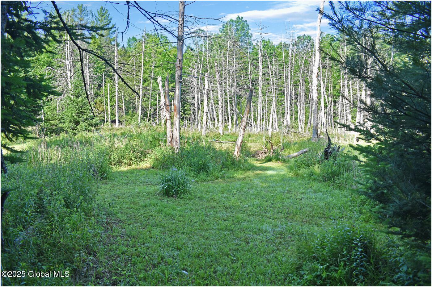 34 Igerna Road Chester, NY 12853 - Photo 58 of 70 m26