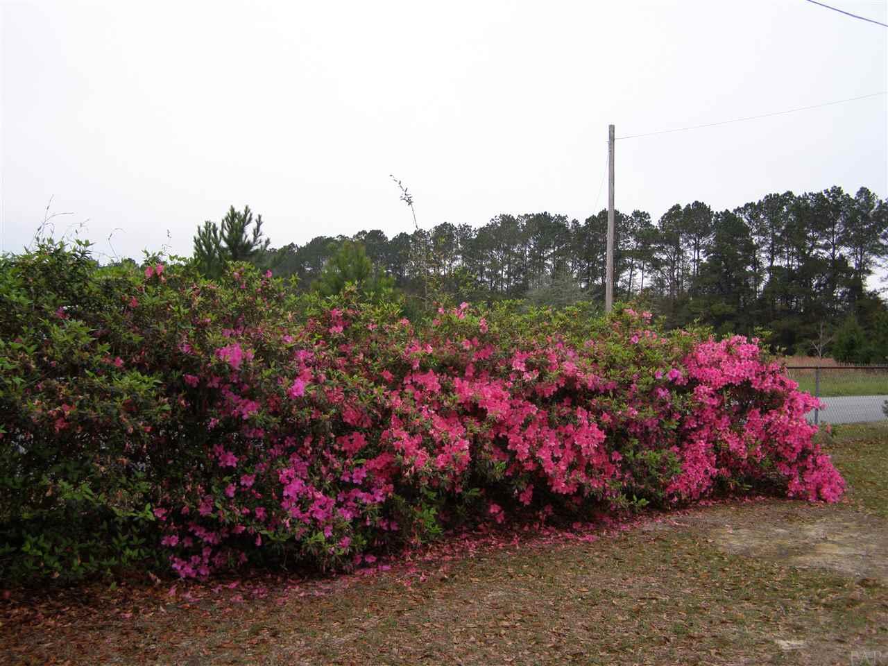 4654 Carl Booker Road Milton, FL 32583 - Photo 32 of 36 Gallery Image 32