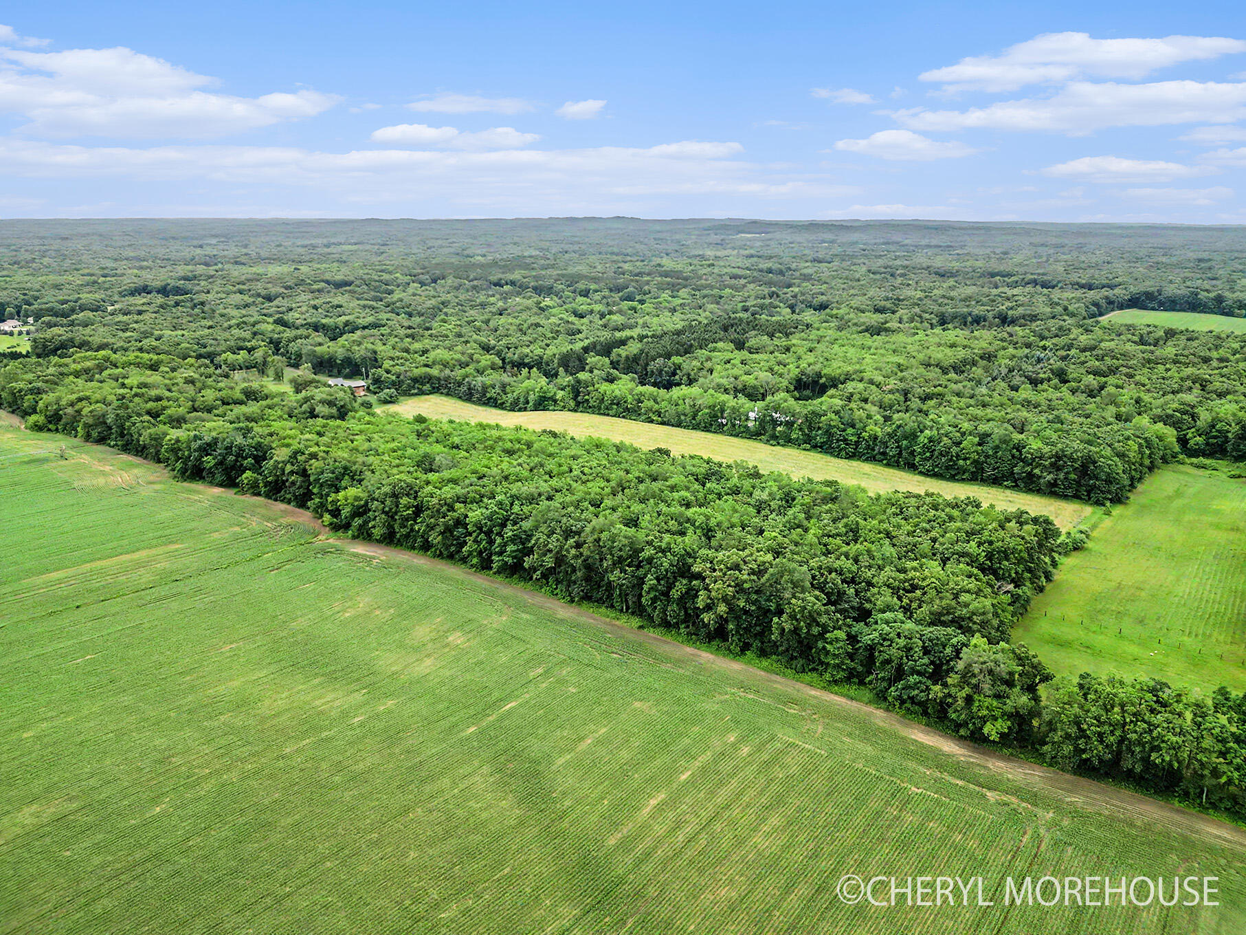 1951 North Norris Road Middleville, MI 49333 - Photo 21 of 30 DJI_0649