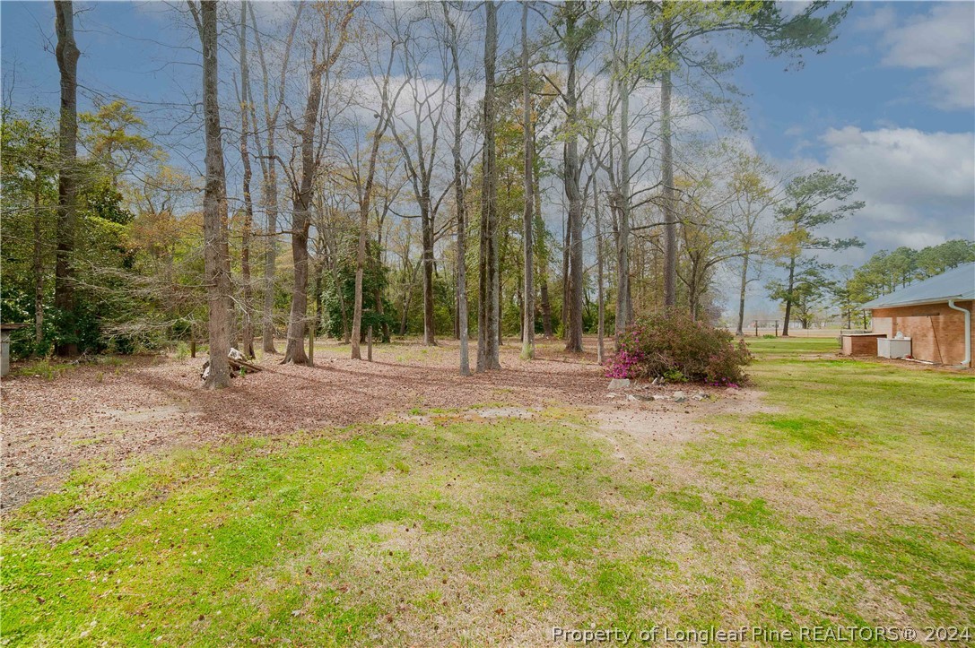 1662 Back Swamp Road Lumberton, NC 28360 - Photo 49 of 50 Gallery Image 49