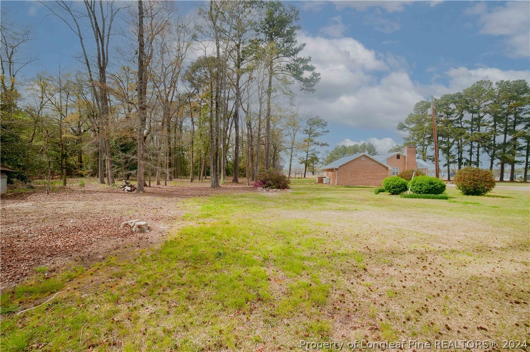 1662 Back Swamp Road Lumberton, NC 28360 - Photo 5 of 50 Gallery Image 5