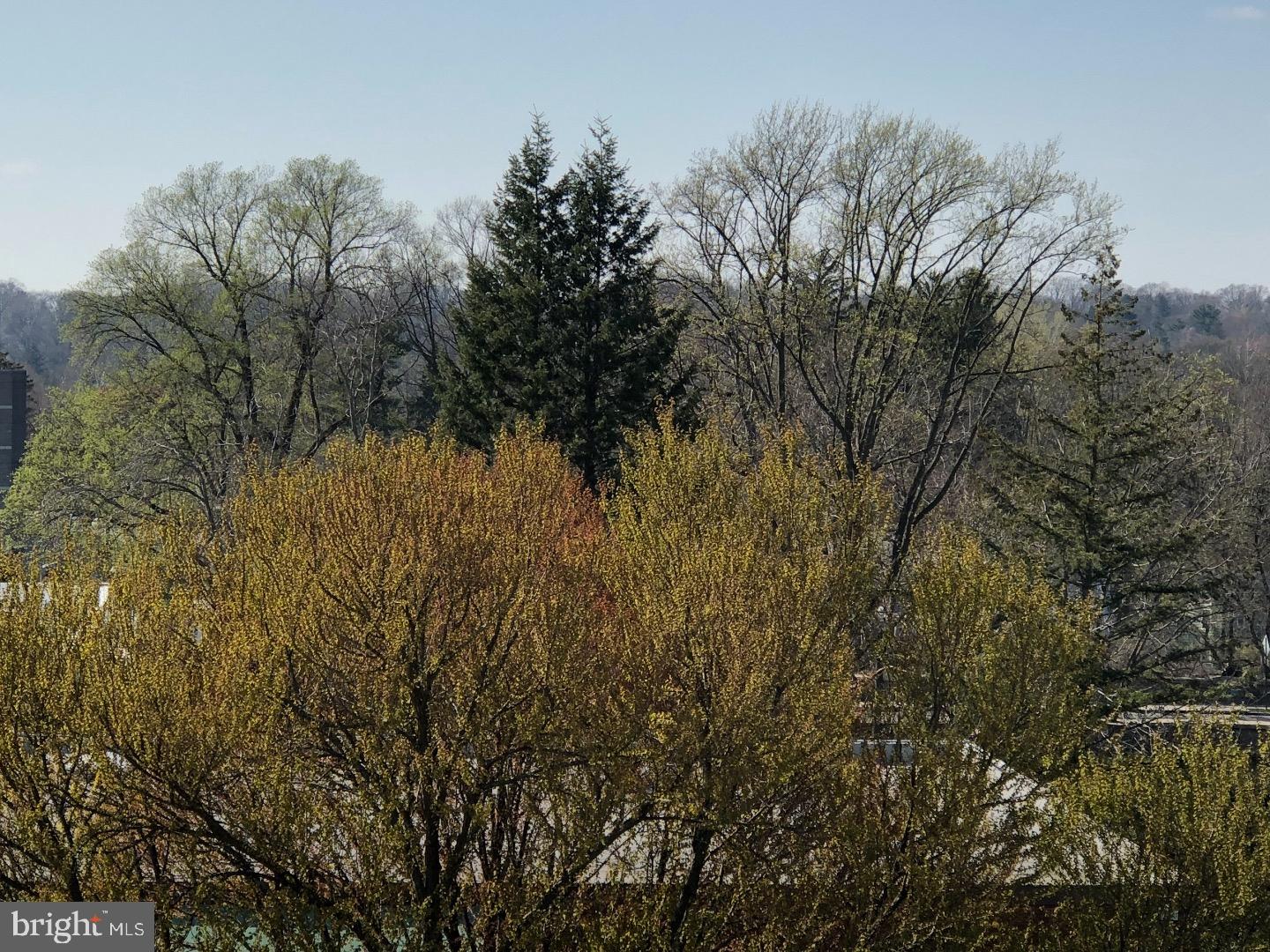 1600 Church Road, Unit B311 Wyncote, PA 19095 - Photo 13 of 13
