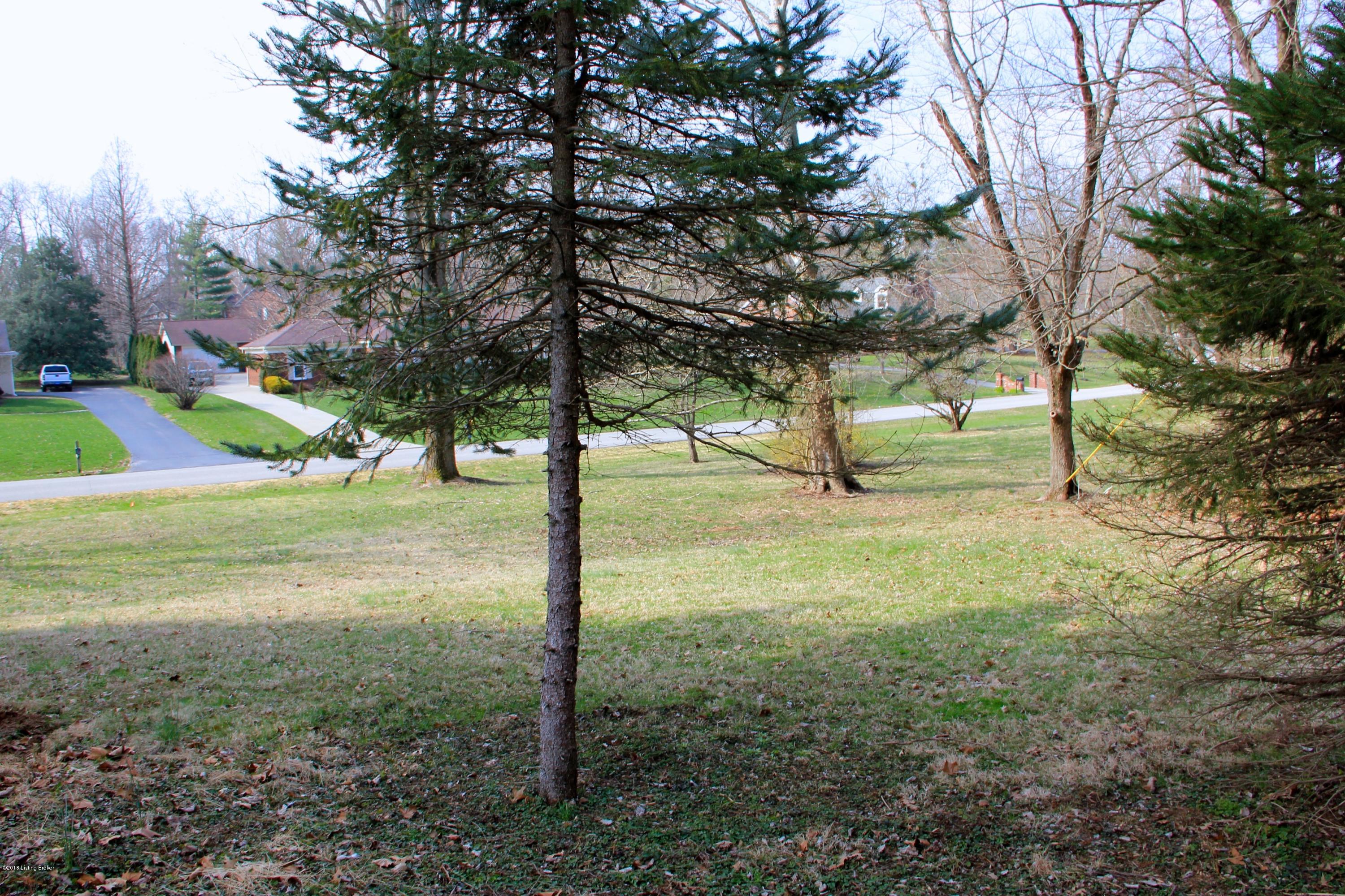 700 Evergreen Road Anchorage, KY 40223 - Photo 27 of 27 Backyard