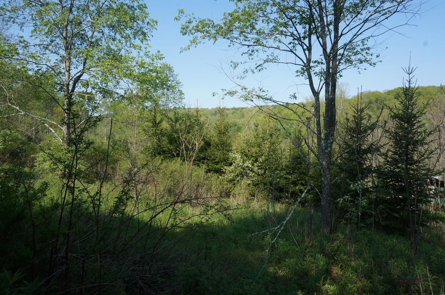3 Mahaffy Road Salem, NY 12865 - Photo 12 of 12 Photo 12