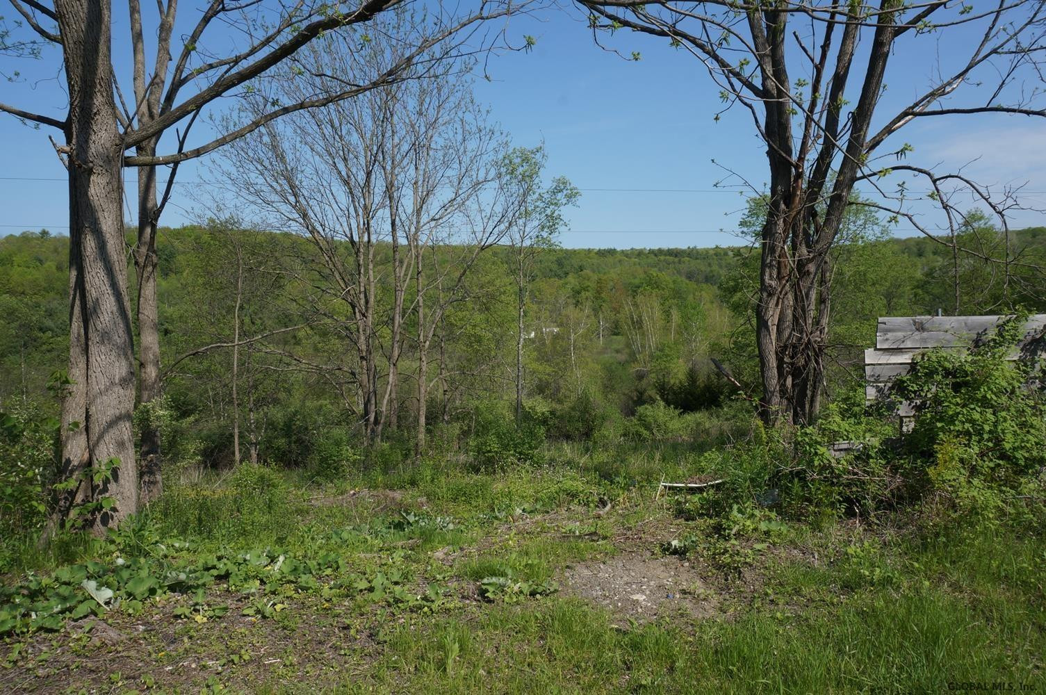 3 Mahaffy Road Salem, NY 12865 - Photo 3 of 12 Photo 3