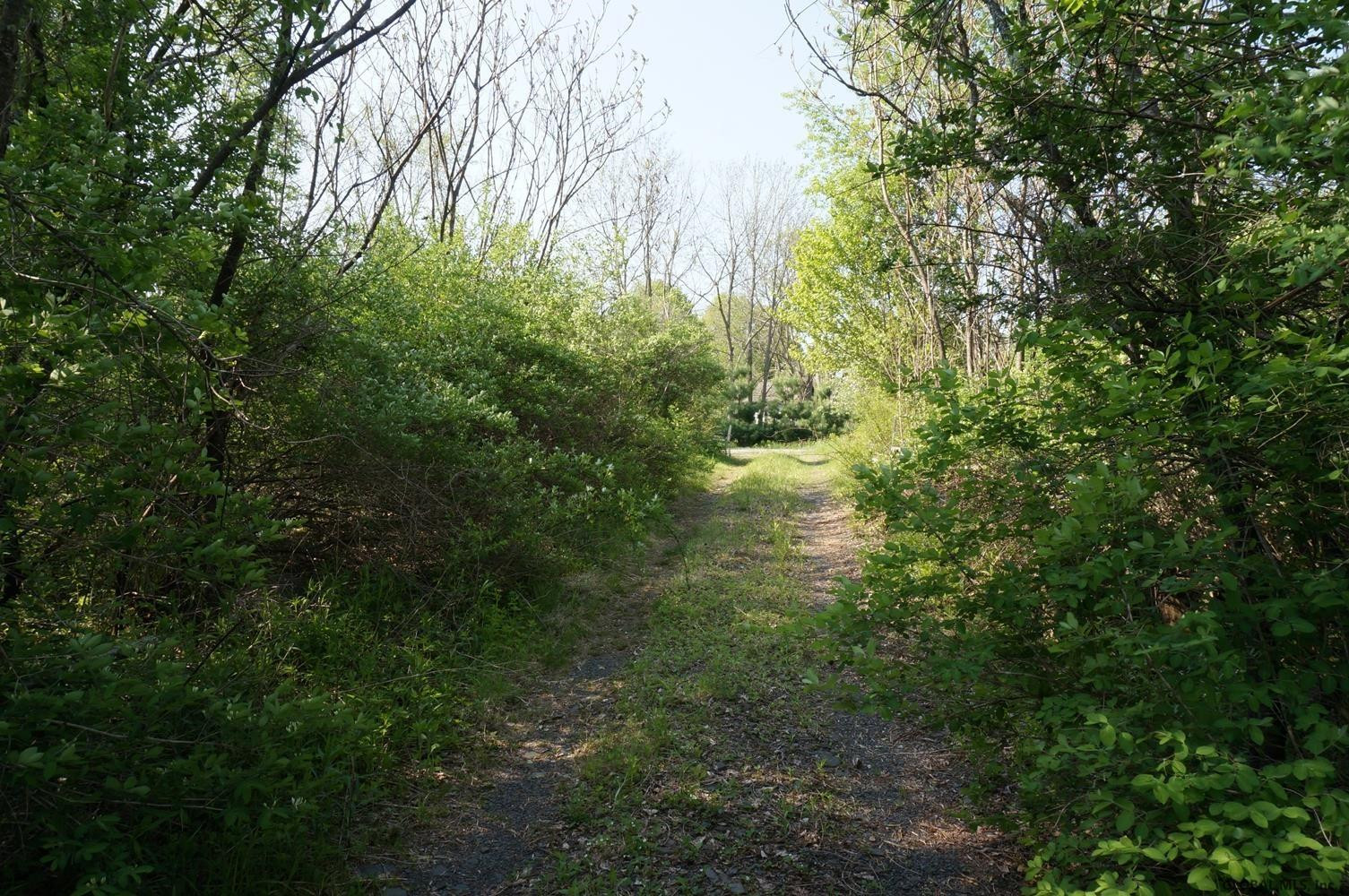 3 Mahaffy Road Salem, NY 12865 - Photo 5 of 12 Photo 5