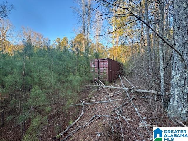 170 Valley Grove Road, Unit 45 AC Cragford, AL 36255 - Photo 8 of 19