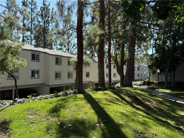 a view of a park with large trees