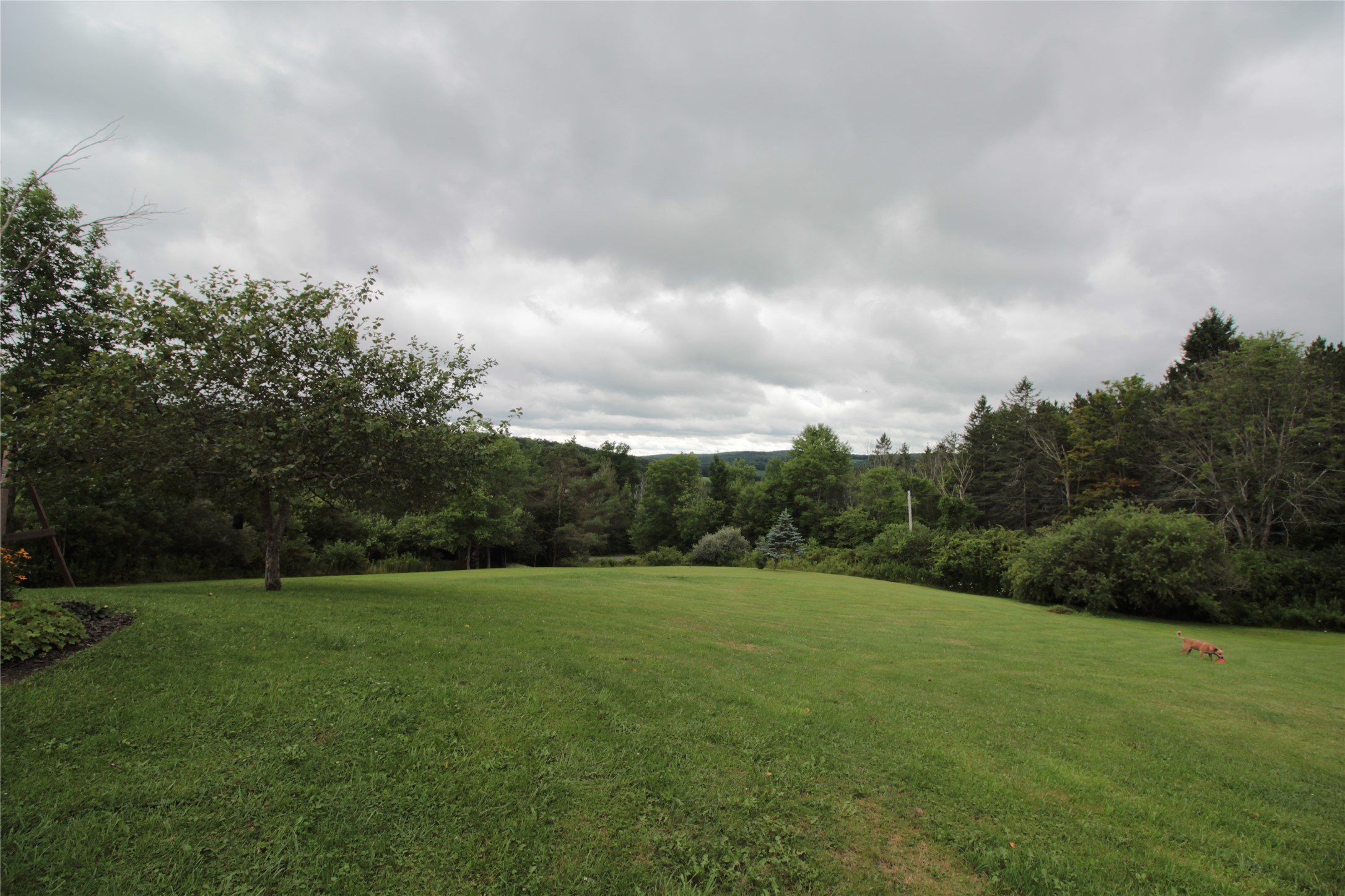 10 Driscoll Road Whitney Point, NY 13862 - Photo 4 of 27 Gallery Image 4