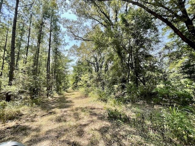 71290 Ralph Gantt Road Little River, AL 36550 - Photo 23 of 31