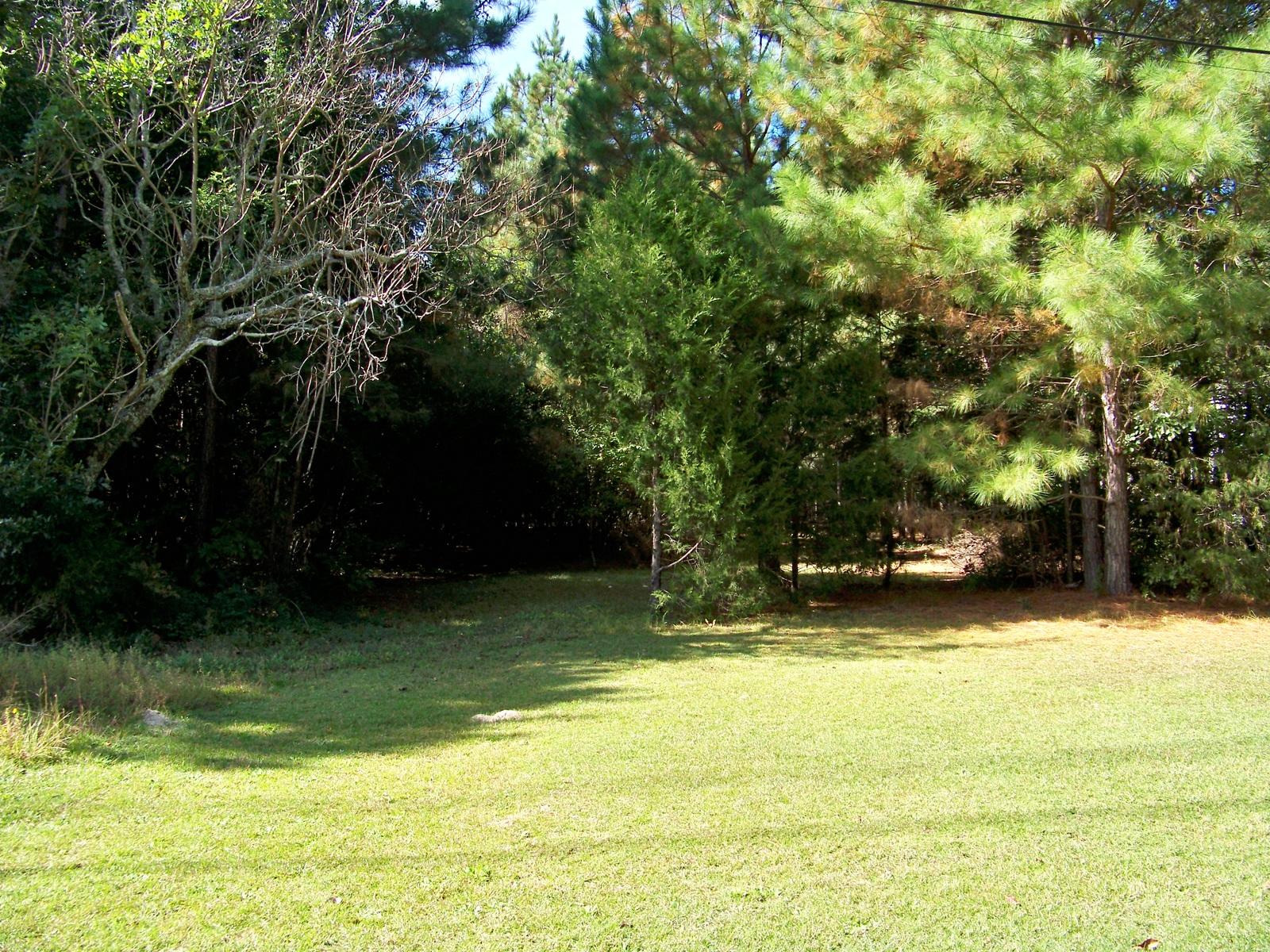 301 Erin Court Rincon, GA 31326 - Photo 3 of 5 4560 Niagara Carthage