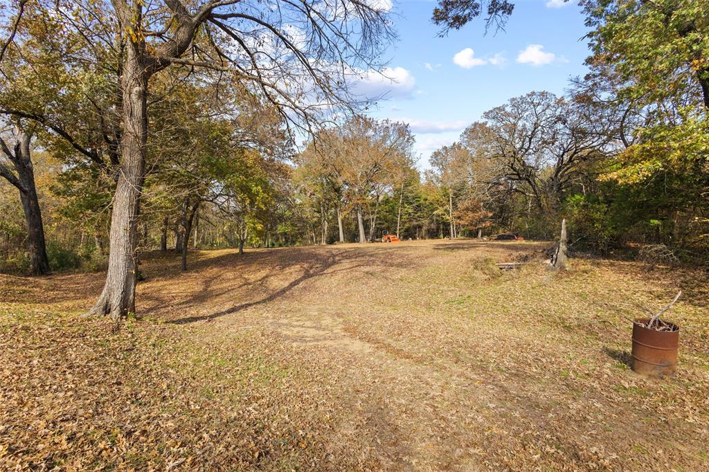 80 Campbell Road Sadler, TX 76264 - Photo 27 of 29 View of yard clearing with a view of trees toward the North