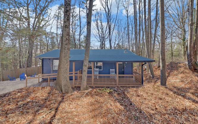 131 Mystic Lane Blue Ridge, GA 30513 - Photo 2 of 30 Gallery Image 2