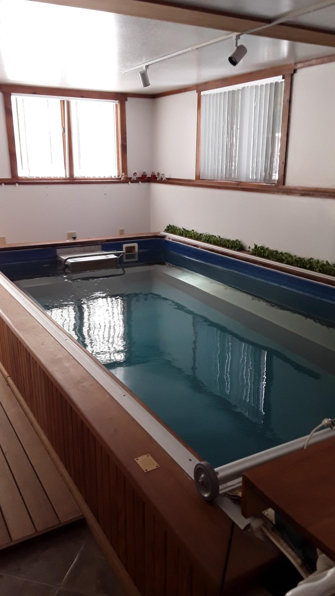1274 Cape Road Hollis Center, ME 04042 - Photo 56 of 81 56 - Basement pool hot tub part0(42)