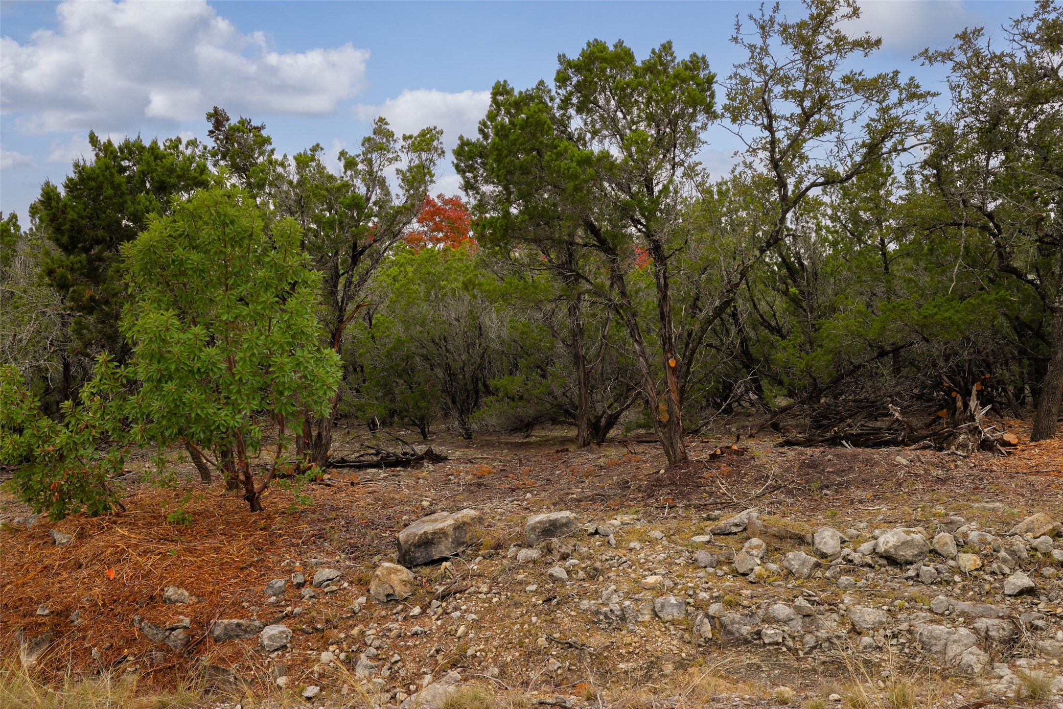 Tbd Stagecoach Ranch Loop Dripping Springs, TX 78620 - Photo 4 of 6