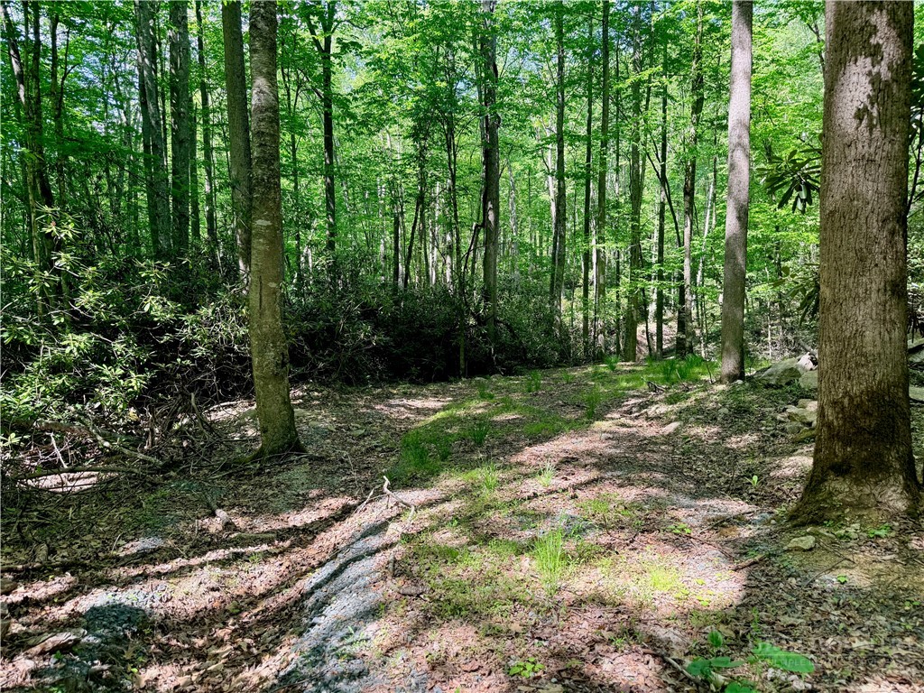 Lot 5 Buckeye Ridge Road Beech Mountain, NC 28604 - Photo 2 of 12