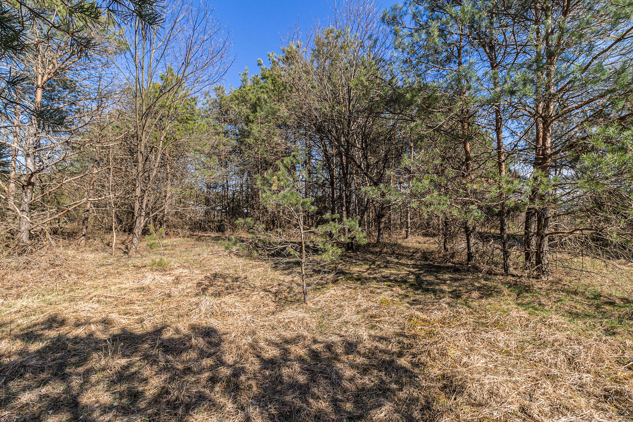 Vacant Holton Road Muskegon, MI 49445 - Photo 11 of 19 625A5332