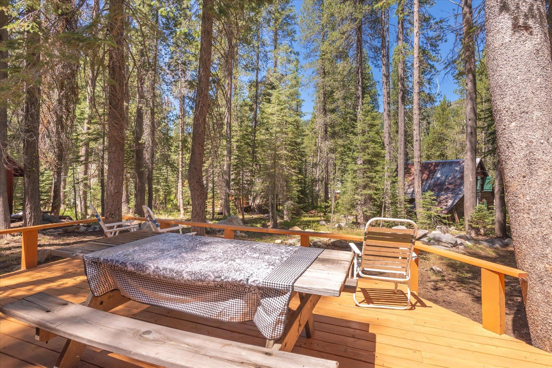 51554 Donner Pass Road Soda Springs, CA 95728 - Photo 6 of 22 Gallery Image 6