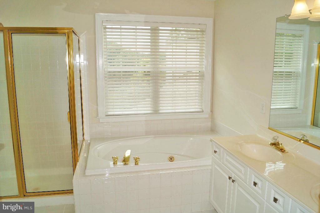 14416 Misty Valley Road Phoenix, MD 21131 - Photo 14 of 30 Bath (Master)
