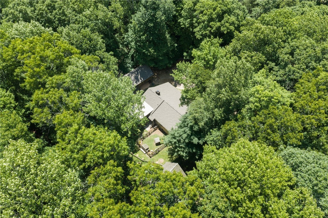 688 Laurel Creek Road Todd, NC 28684 - Photo 3 of 45