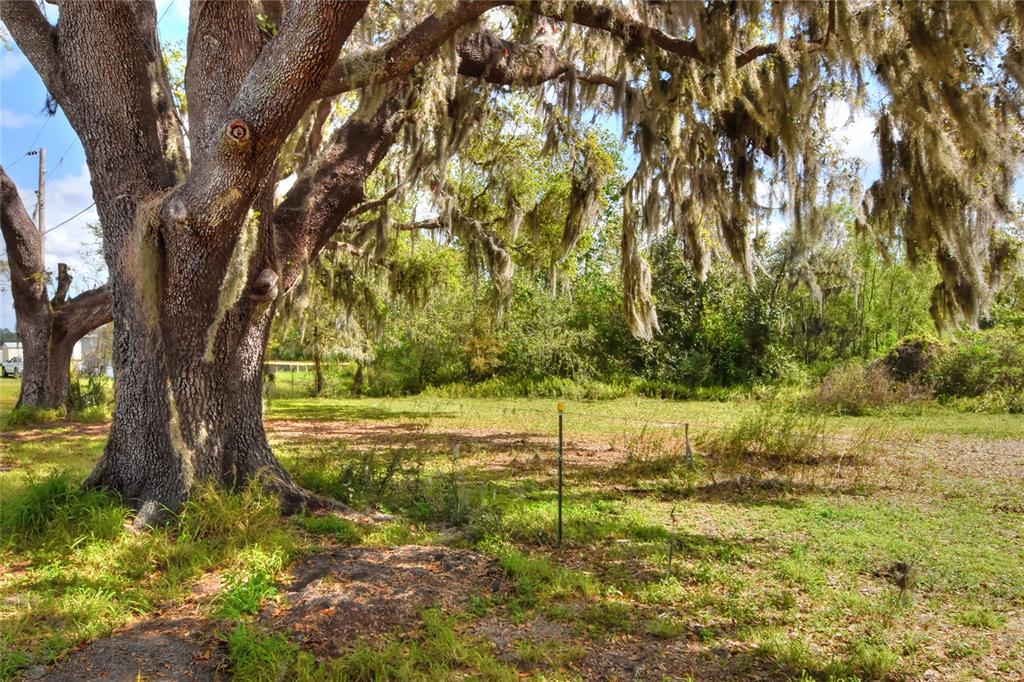 0 Armor Road Plant City, FL 33567 - Photo 5 of 7