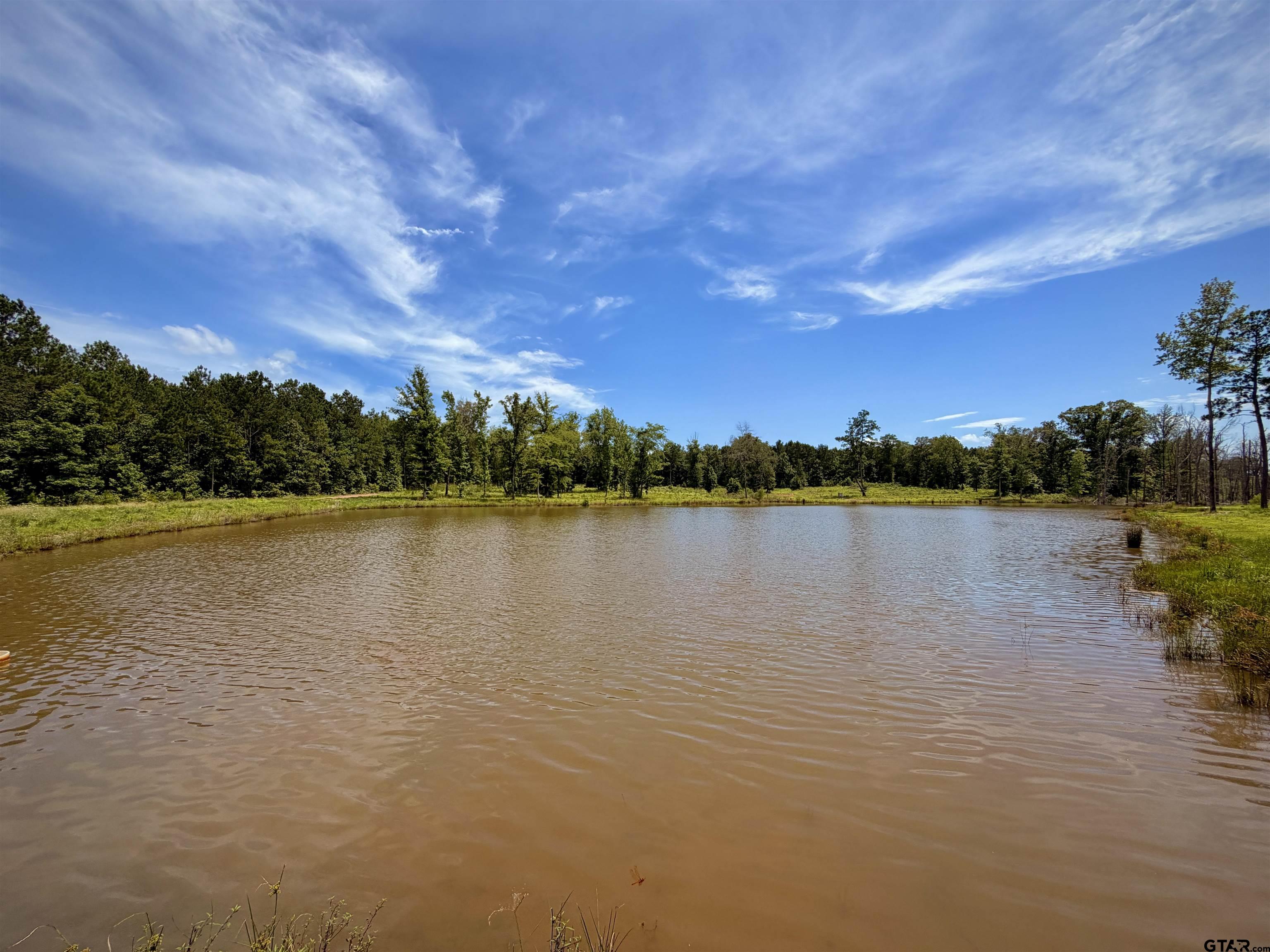 404 Small Oaks Road Kilgore, TX 75662 - Photo 44 of 52 POND