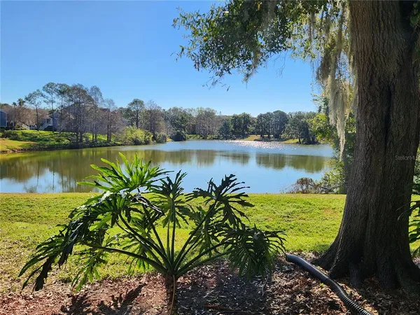 a view of a lake with a mountain in the background