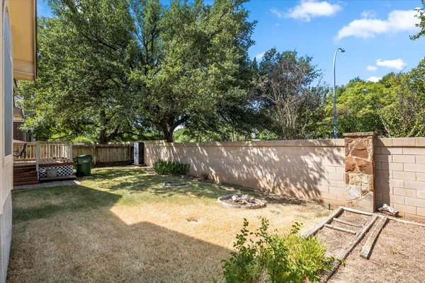 a view of a yard with plants and trees