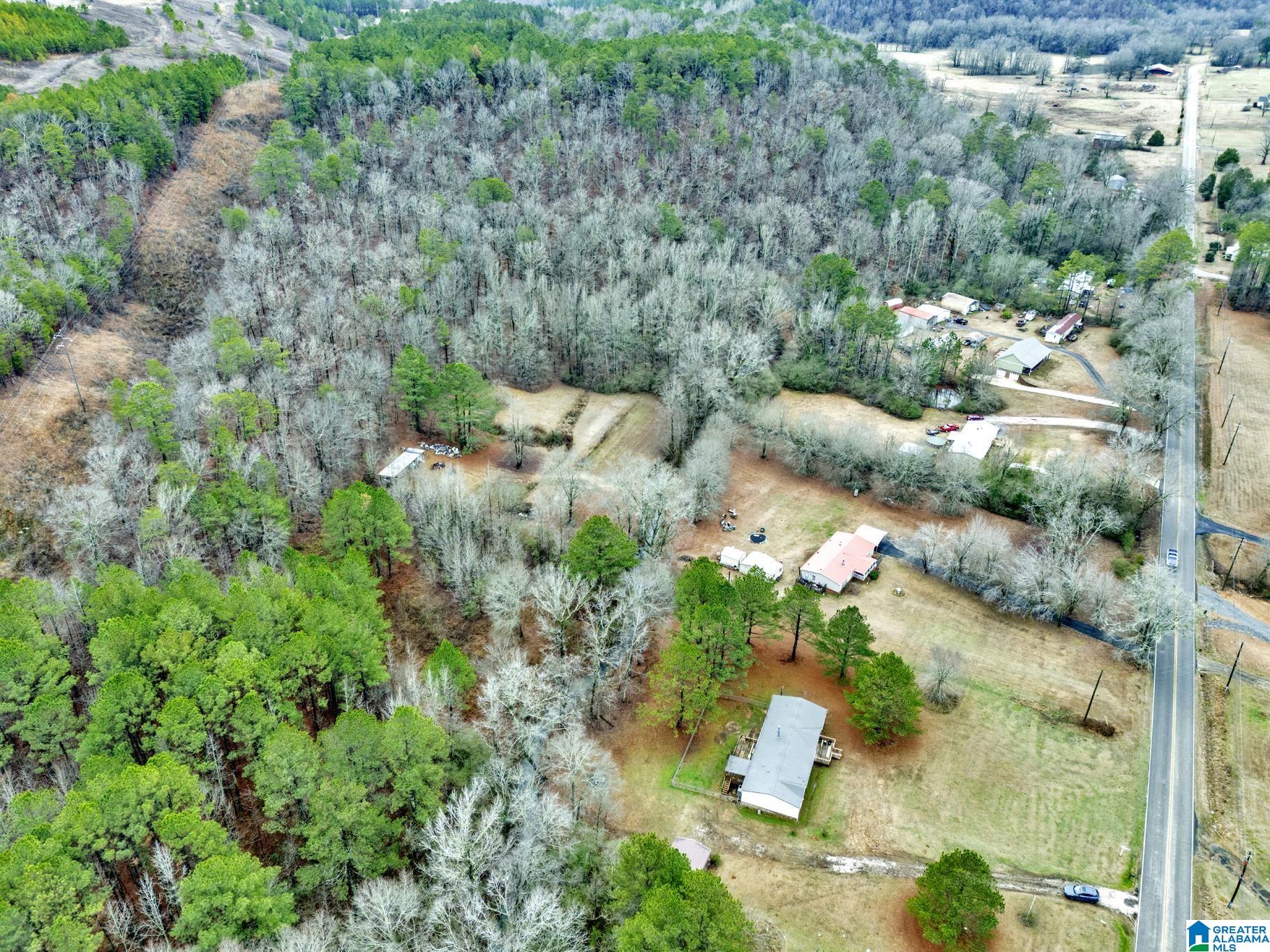 2810 Warrior Jasper Road Warrior, AL 35180 - Photo 37 of 41