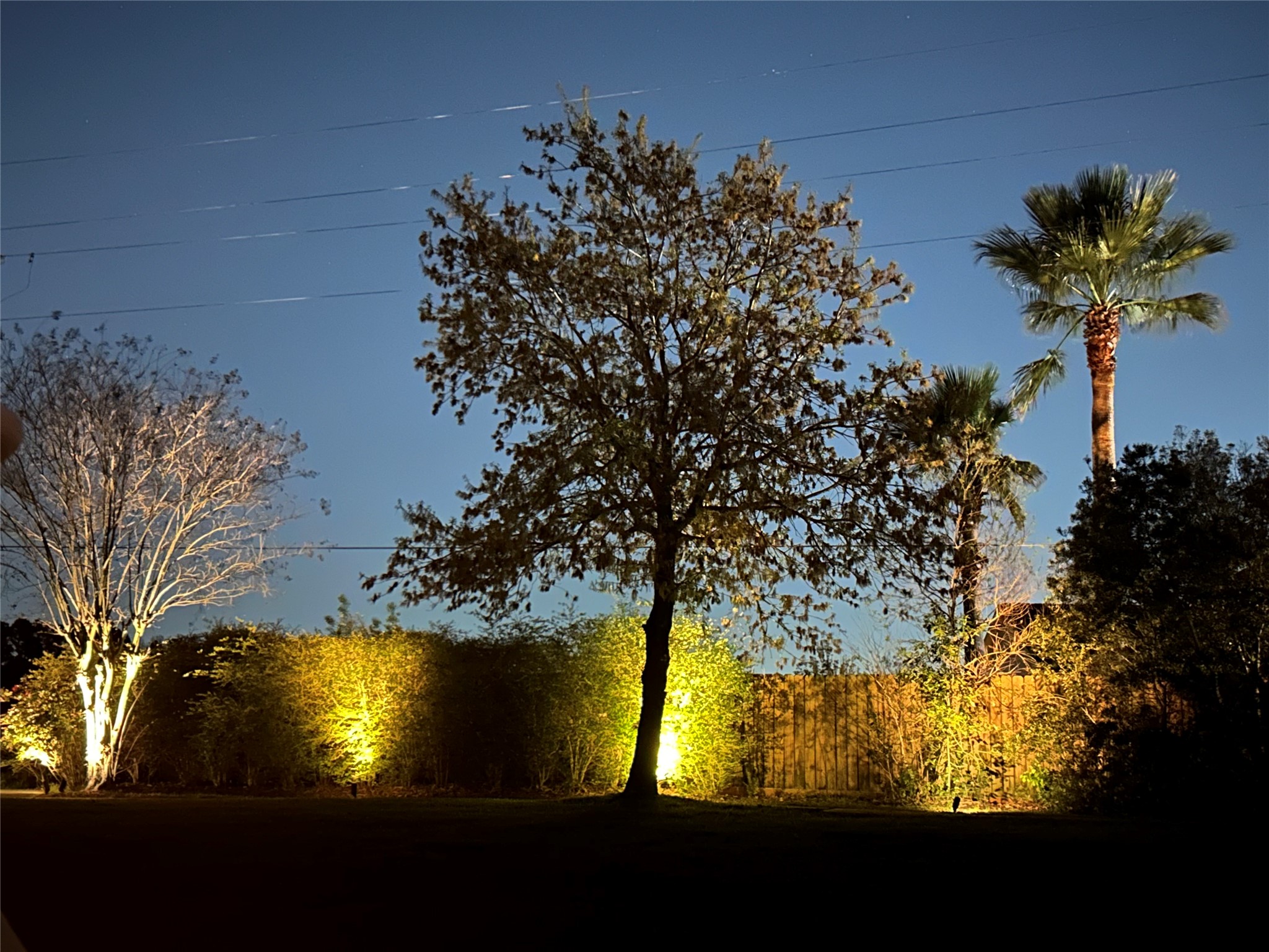 9102 Night Beacon Point Drive Spring, TX 77379 - Photo 36 of 43 Night time vibes