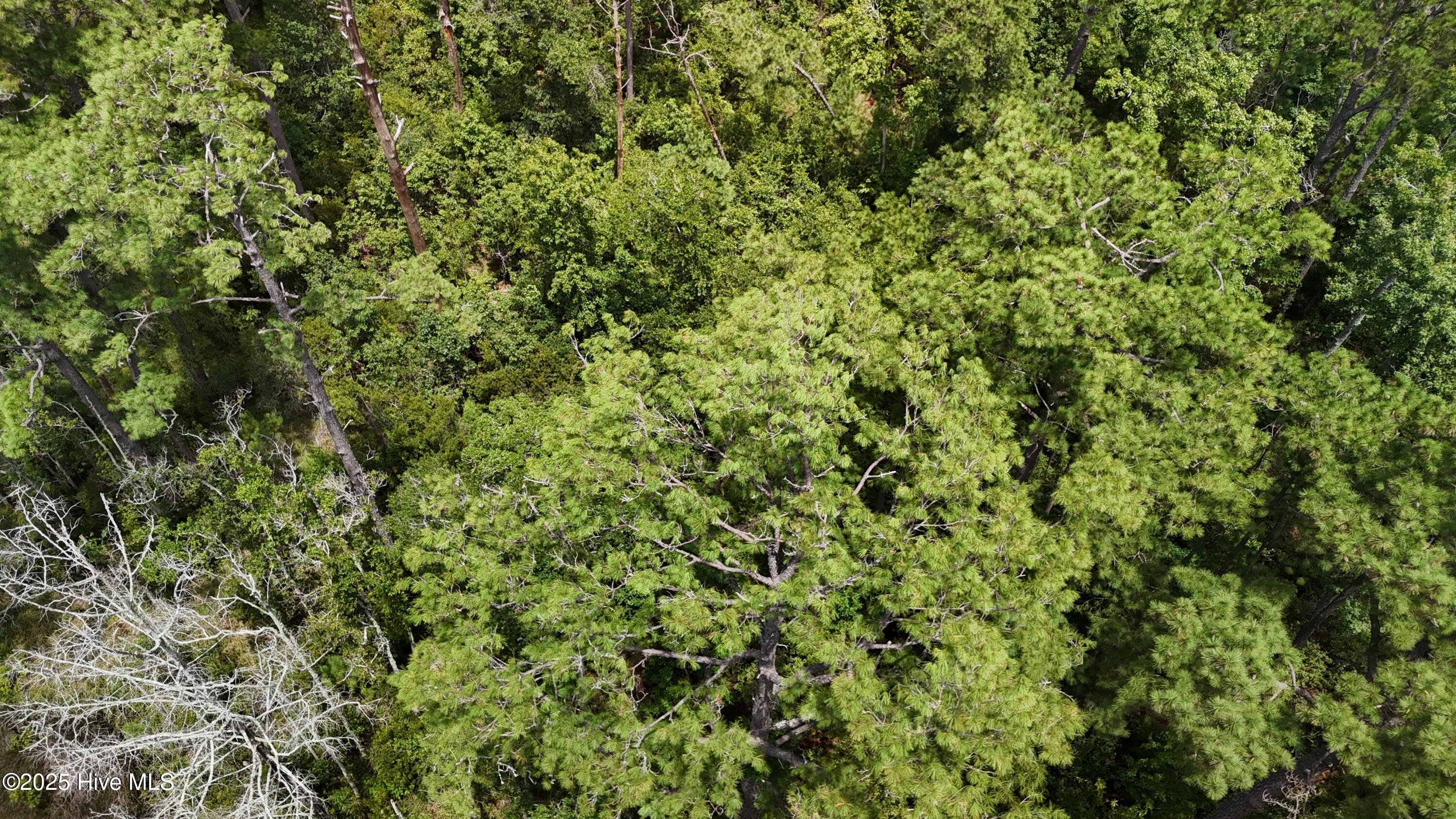 740 Sandy Point Drive Beaufort, NC 28516 - Photo 11 of 47 DJI_20250805132549_0360_D