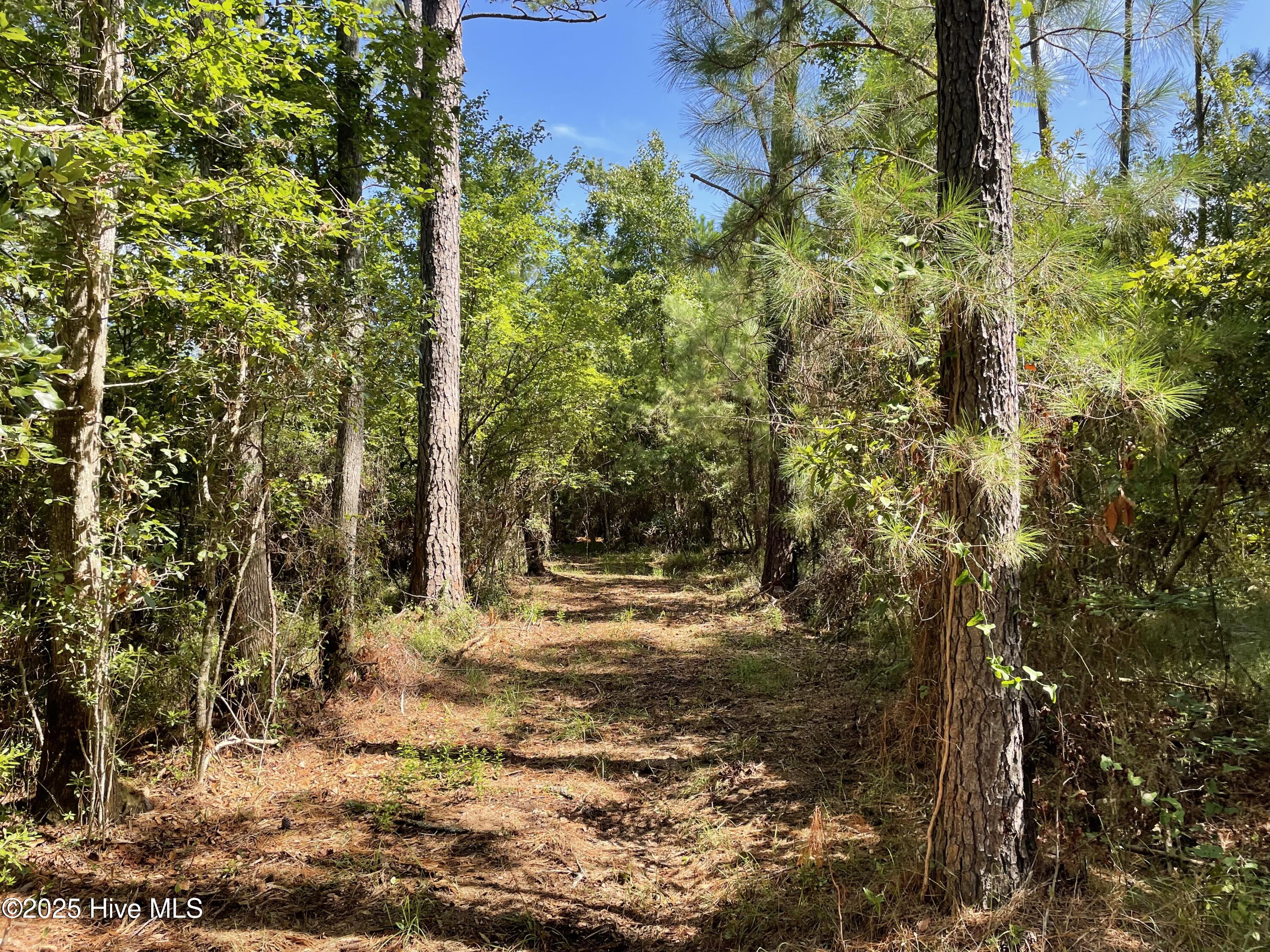 740 Sandy Point Drive Beaufort, NC 28516 - Photo 20 of 47 IMG_4456