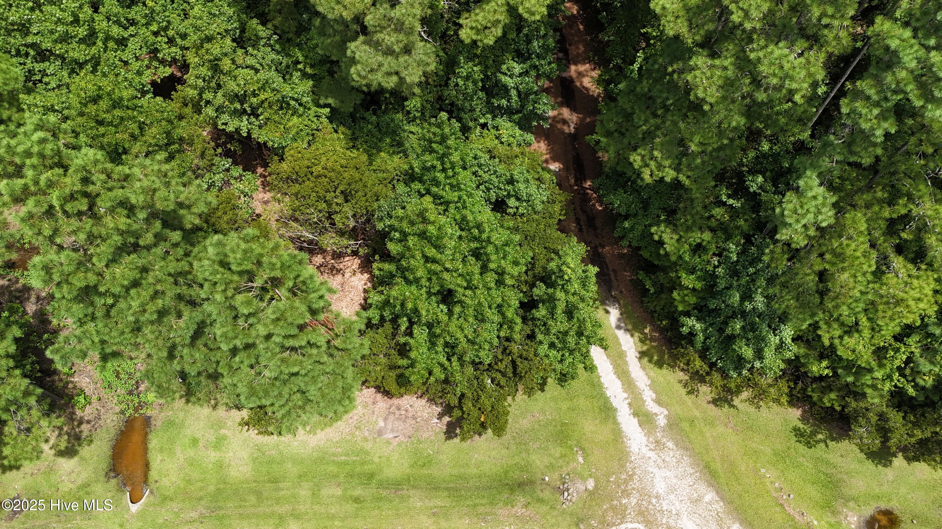 740 Sandy Point Drive Beaufort, NC 28516 - Photo 3 of 47 DJI_20250805132431_0356_D