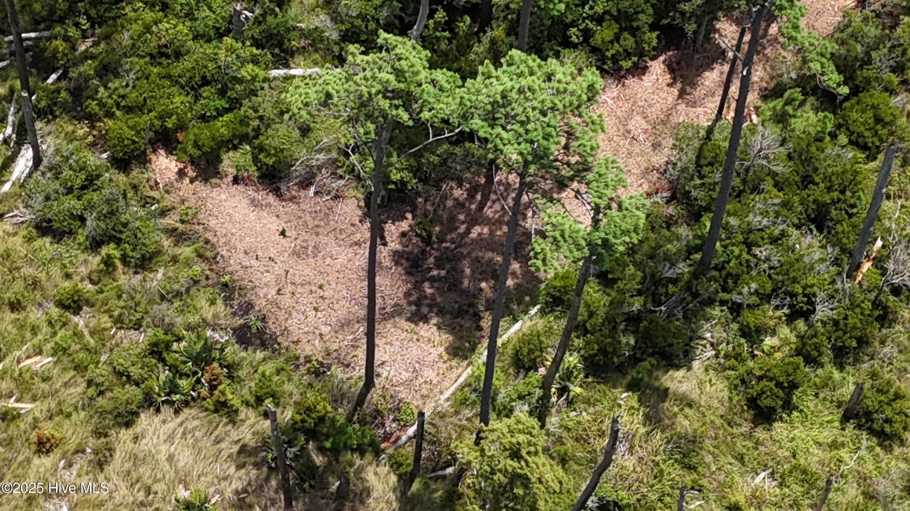 740 Sandy Point Drive Beaufort, NC 28516 - Photo 8 of 47 DJI_20250805133718_0381_D