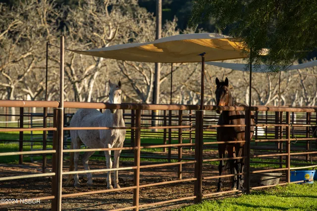 a view of park with wooden fence and large trees