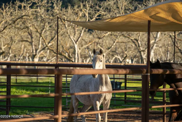 a view of swimming pool with a yard