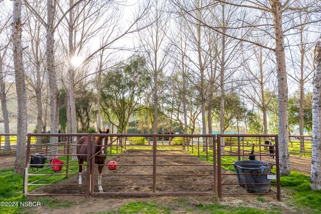 a kitchen with a stove and a sink