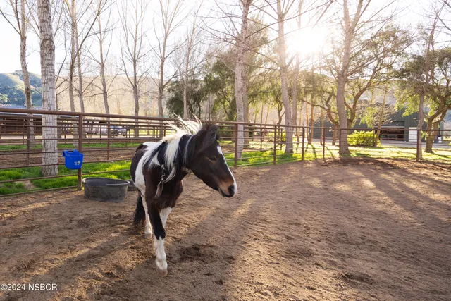 a view of a hallway with furniture and chandelier