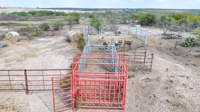 a view of a dry yard with trees in the background