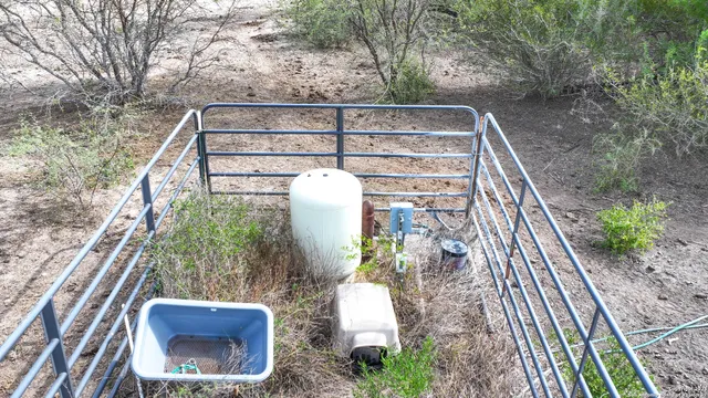 a view of a dry yard with trees