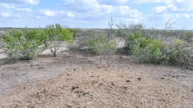 a view of a dry yard with mountains in the background